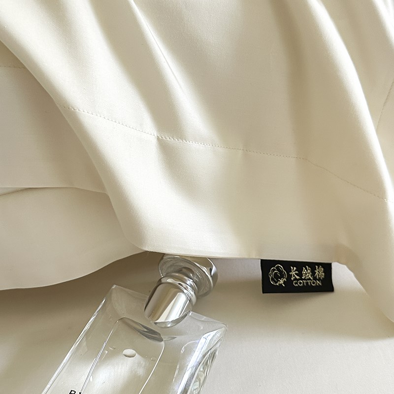 200支新疆长绒棉枕套一对装家用高级感枕头套全棉纯棉枕芯内胆套