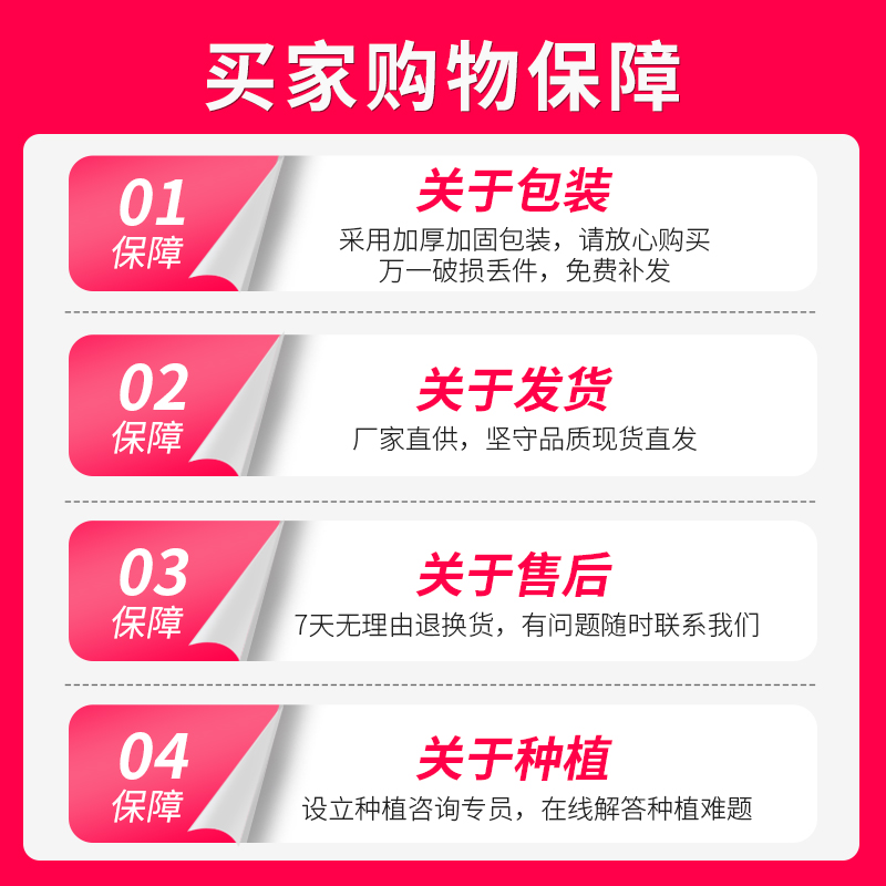 种植箱家庭阳台蔬菜种菜盆楼顶户外种花槽种树特大号盆栽塑料花盆