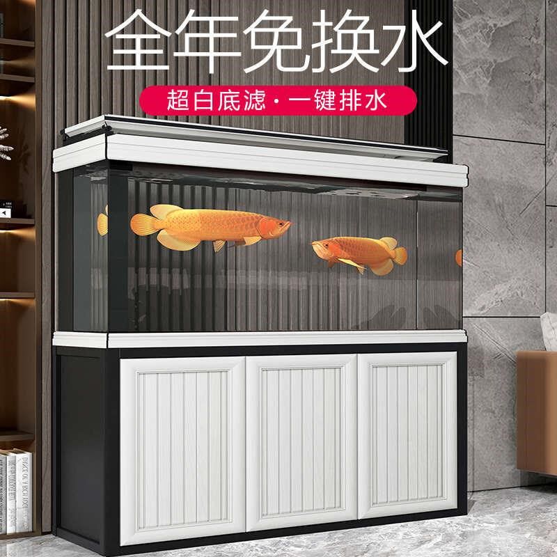 海星大型生态免换水鱼缸水族箱客厅落地小型家用下过滤底滤鱼缸
