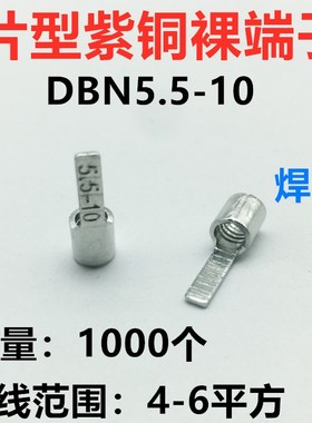 DBN5.5-10 裸端头 片形接线端子4D-6平方 接线鼻子 紫铜 1000只