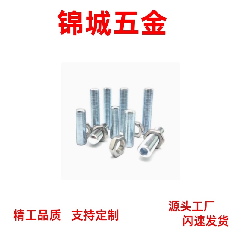 细牙型 镀锌 PAS12 调整螺丝组件 内六角孔型 ANB16-1.5/M20-1.5