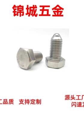 六角螺栓型球头柱塞 BPHH10/12  ZC107-2 重载型弹簧定位珠 ZAK12