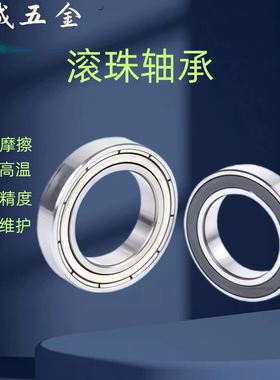 B6700ZZ B6800ZZ B6900 B6000 B6200 B6300ZZ VV DDU滚珠轴承C-SB