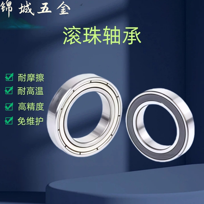 B6700ZZ B6800ZZ B6900 B6000 B6200 B6300ZZ VV DDU滚珠轴承C-SB