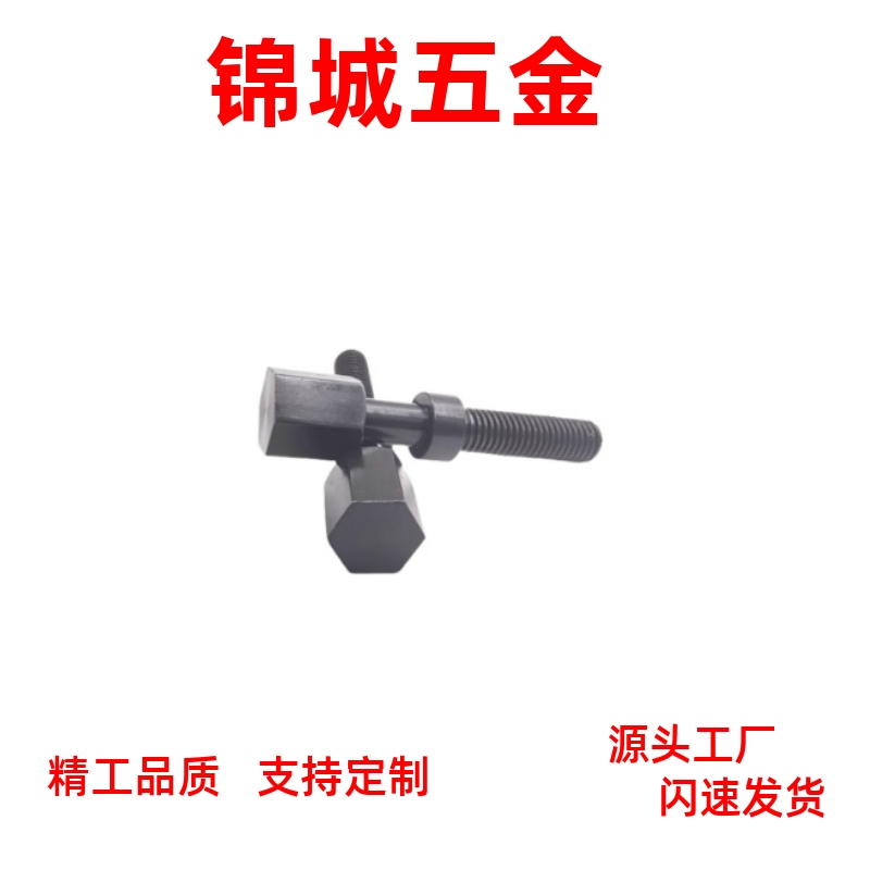 PAY01-M3 M4 M5-L10 L15 L20 L25 L30 L35 L40 L45 L50调整螺栓