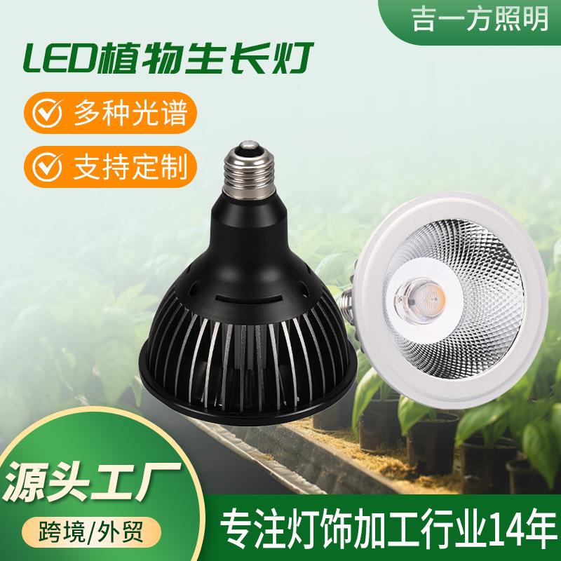 E27块根植物灯室内园艺种植全光谱火祭石莲花上色帕灯蕨类补光灯