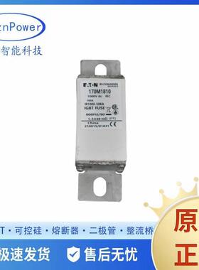 170M1730 170M1731 170M1732 170M1733 170M1734快速熔断器熔芯原