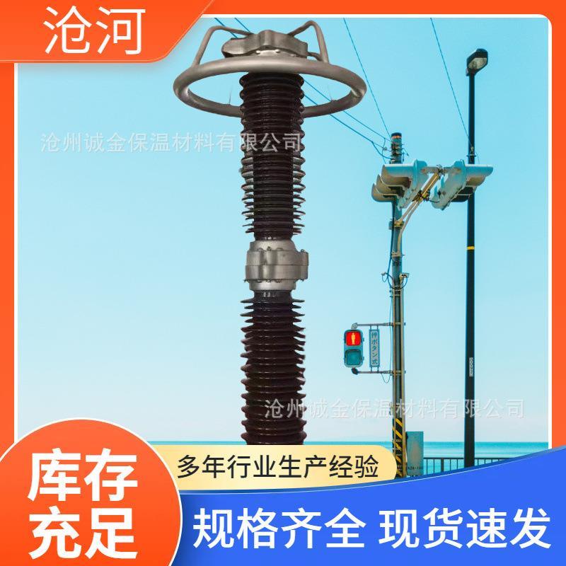 热销瓷外套交流氧化锌避雷器 220kV陶瓷避雷器 Y10WZ-204/532电站