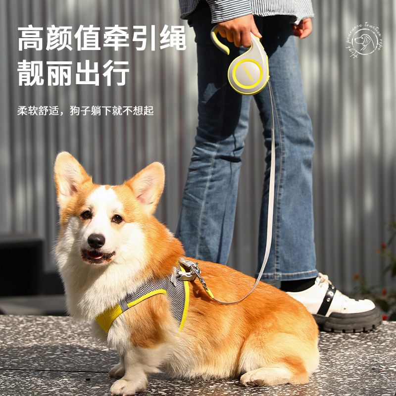 热销狗狗自动伸缩牵引绳中小型犬外出遛狗绳子耐咬5米泰迪柯基狗