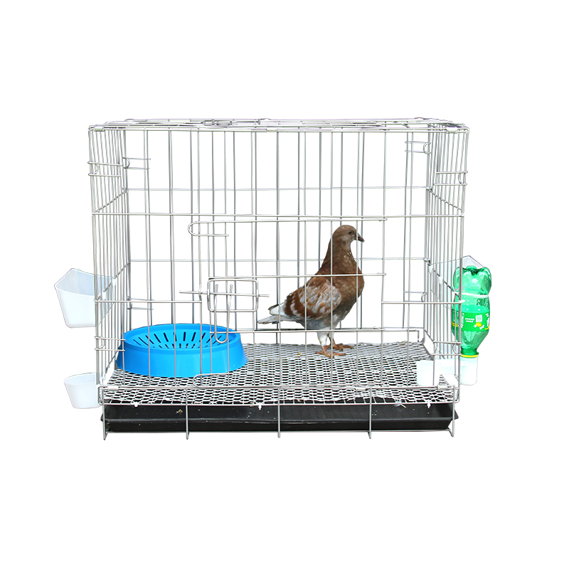 热销鸽子笼繁殖繁育笼带隔断配对笼子成年鸽子用具加粗运输笼大号