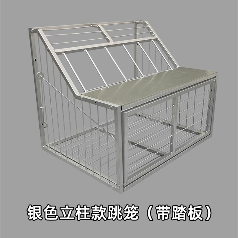 热销鸽子跳笼进出门信鸽赛鸽用品鸽舍只进不出笼门鸽棚配件进出口