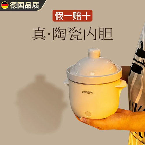 德国进口电炖锅家用陶瓷煲汤锅