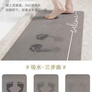 家用厕所吸水垫卫生间门口防滑速干进门地毯七彩绒浴室脚垫干门垫
