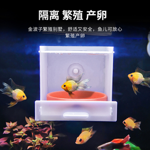 金波子繁殖屋支架托架多格悬浮隔离盒短鲷类繁殖别墅强力吸盘陶盘