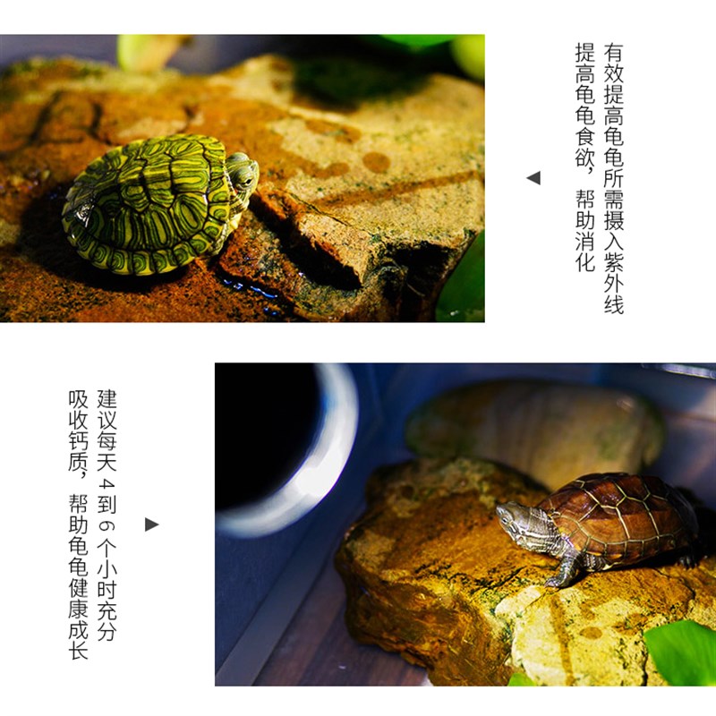 爬虫箱加热灯夹陶瓷灯乌龟刺猬蜥蜴UVAUVB晒背万向带开关E27灯夹图片