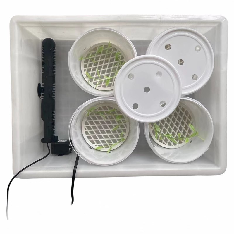 乌龟缸专用饲养隔离发色盒奶茶桶育苗保温周转箱