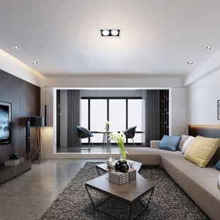 斗胆灯嵌入式 客厅商用方形形双头单头天花吊顶商场健身房格栅灯