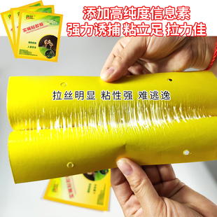 诱敌实蝇粘胶板双面果蝇贴粘针蜂农用粘虫板瓜果实蝇诱粘板诱捕器