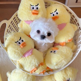 宠物玩具发声狗狗陪伴玩偶可爱叫叫狗磨牙撕扯独处解闷毛绒公仔