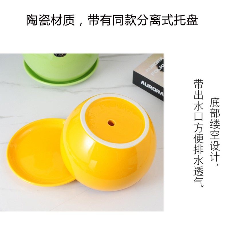 创意圆形花盆小大号陶瓷北欧简约带托盘绿萝多肉盆栽家用客厅阳台,鲜花速递/花卉仿真/绿植园艺,花盆,淘宝优惠券,粉丝福利购,淘宝优惠卷