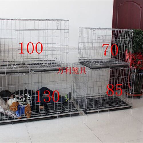 鸡笼特大号大型鸡笼子自动清粪滚蛋养殖笼周转箱家用狗笼养蛋鸡笼