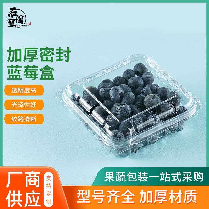 直销新款石图里蓝莓盒水果包装盒pet材质超市透明有盖蓝莓生鲜水