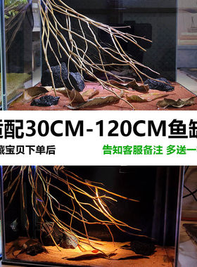 买一送1 原生缸南美缸溪流缸乌龟缸造景树枝分叉树枝鱼缸造景素材