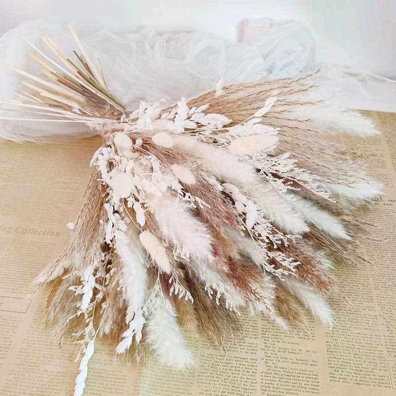 直销新款干花小芦苇花束拂尘兔尾草亚马逊潘帕斯草云南