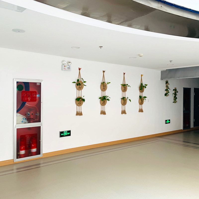 热销壁挂麻绳水培绿植玻璃花瓶幼儿园民宿客厅玄关电视背景墙面装