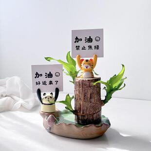 北欧情绪解压桌摆巴西木水培盆栽办公桌幸运植物室内水培绿植花卉