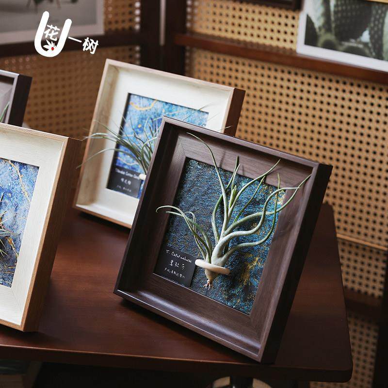 U花 空气凤梨中古装饰画背景墙装饰空气凤梨相框客厅摆件现代简约,鲜花速递/花卉仿真/绿植园艺,红掌/凤梨/温室花卉,淘宝优惠券,粉丝福利购,淘宝优惠卷