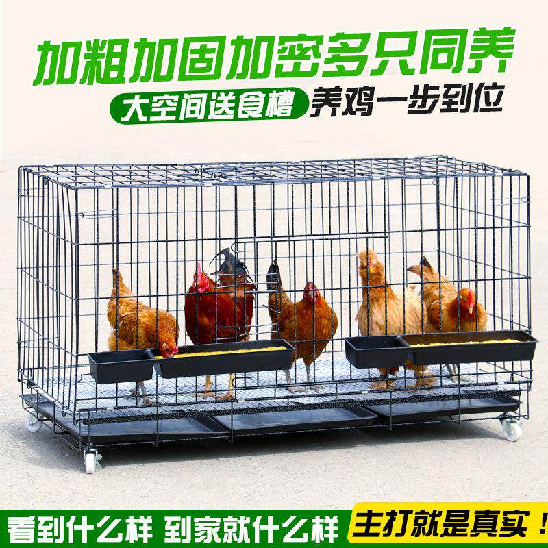 鸡笼子养鸡笼大号养殖笼折叠兔笼狗笼子加粗蛋鸡笼家用鸡窝鸡舍