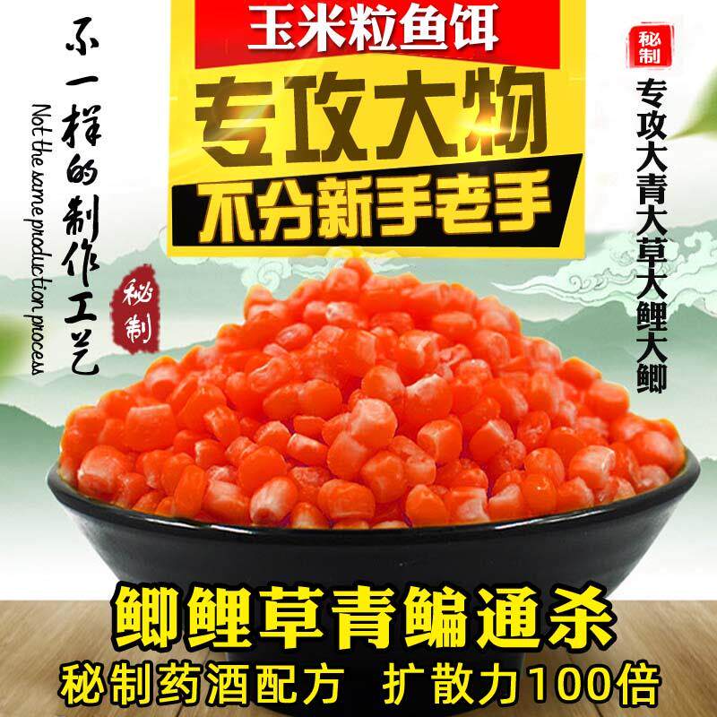 钓鱼嫩玉米粒饵料颗粒鱼饵黑坑野钓鲫鱼鲤鱼草鱼青鱼翘嘴老坛鱼饵