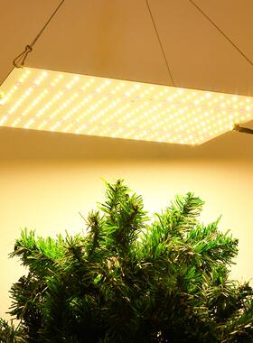 新手友好全光谱1500w可调光LED植物生长灯彷太阳全光谱室内种植灯