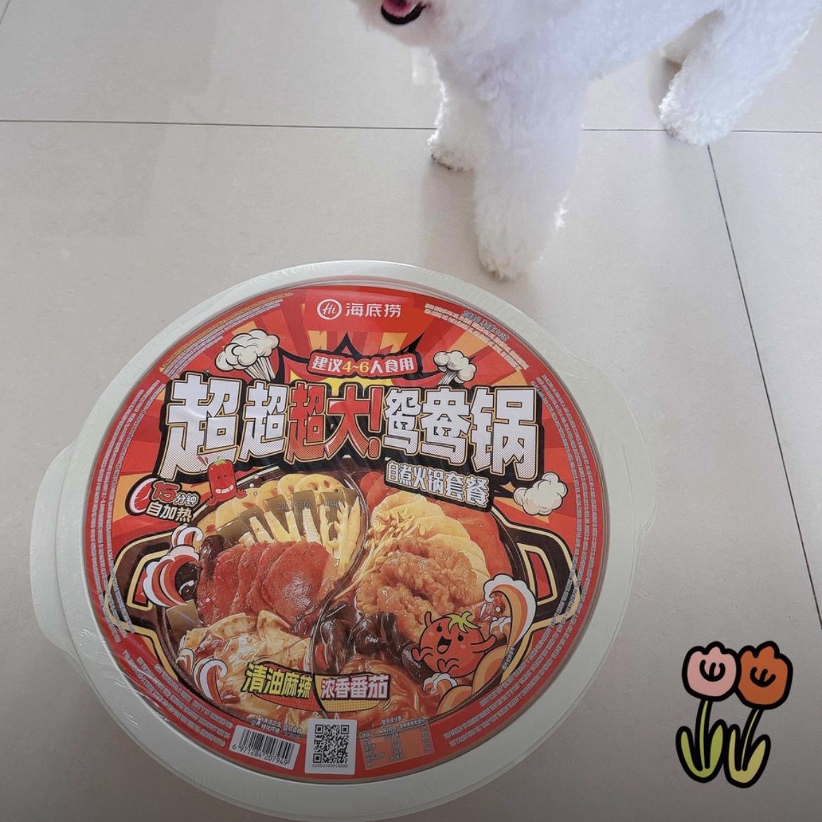 海底捞超大鸳鸯锅自热火锅清油麻辣朋友聚餐大份免煮户外