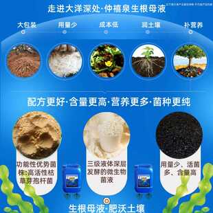 直销新款微生物菌剂菌肥生根母液粉液移栽生根剂水溶肥液体肥微生