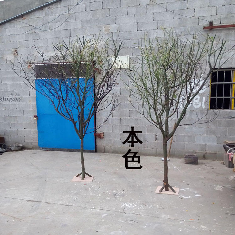 干树枝干枝白色树干许愿树橱窗枯树杆婚庆路引道具装饰落地摆件树