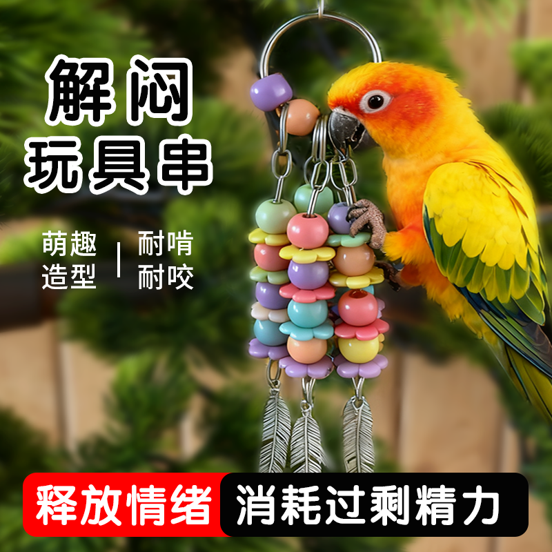 虎皮玄凤鹦鹉通用啃咬互动解闷玩具鸟笼不锈钢羽毛挂件彩色饰品,宠物/宠物食品及用品,鸟禽其他,淘宝优惠券,粉丝福利购,淘宝优惠卷