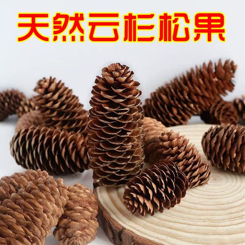 天然云杉松果松塔干花装饰摆件