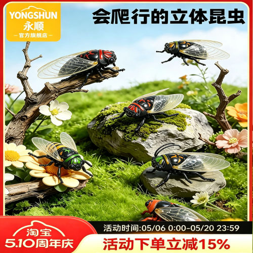 仿真知了发条玩具礼物