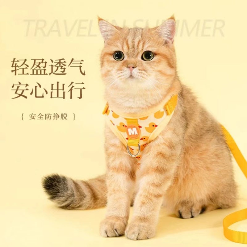 狗狗牵引绳泰迪比熊遛猫遛狗绳子狗链子小型幼犬外出防挣脱胸背带