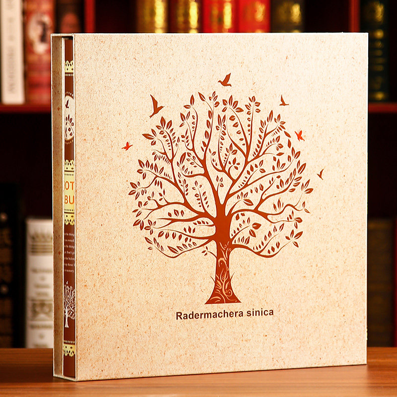 5寸6寸1198张相册本纪念册y大容量插页式家庭版影集相簿过塑收纳