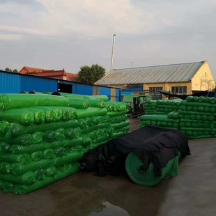 防尘网盖土网2针3针4针6针绿色遮盖煤炭沙子环保T网建筑工地覆绿