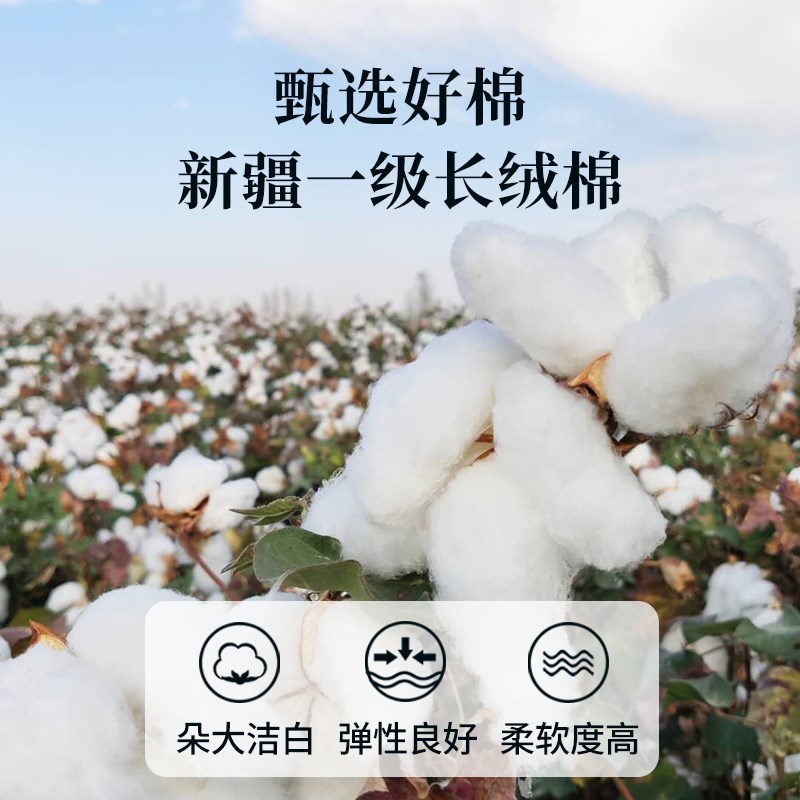 新疆棉花床褥子垫被床垫垫褥棉絮棉被褥N铺底全棉加厚家用双人