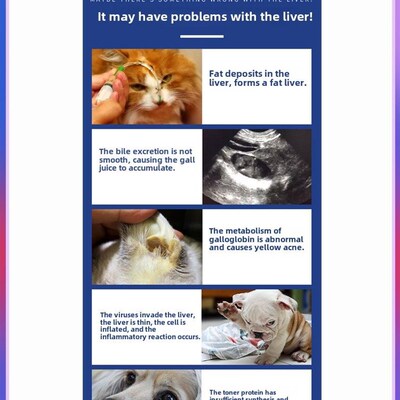 龙源肠胆汁酸肝损伤撕裂染色胆囊促进食Q欲,宠物猫狗胆汁