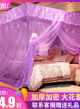 新款公主宫廷蚊帐1.8m家用加密加z厚1.5床落地支架简约1.2米床老