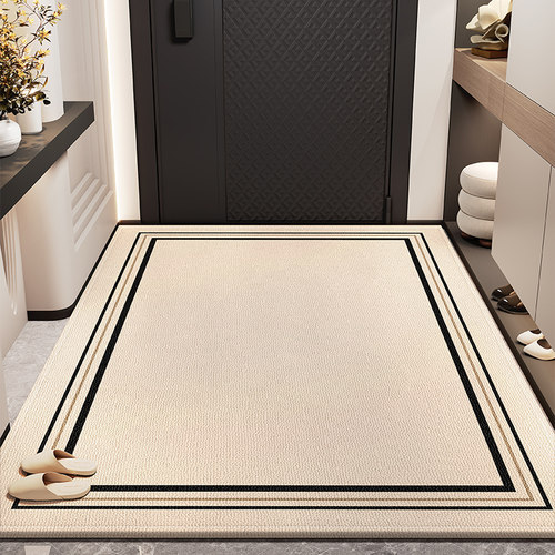 玄关地垫2024新款n室外门口防滑耐脏脚垫入户门地垫家用室内吸尘
