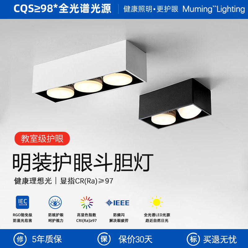 全光谱护眼明装筒灯无主灯客厅照明斗胆灯双头方形盒子卧室吸顶灯,家装灯饰光源,斗胆灯,淘宝优惠券,粉丝福利购,淘宝优惠卷