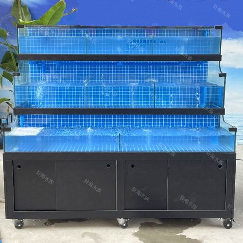 海鲜池商用制冷机一体超市酒店饭店专用鱼池海鲜鱼缸海鲜缸贝类池