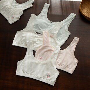 全阶段 l发育期少女蚕丝文胸一阶段无钢圈二阶段学生内衣k 两件装